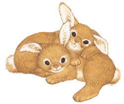 a pair of rabbits